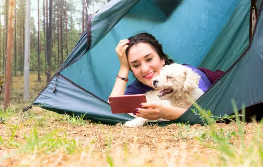 In the tent is comfort and entertainment