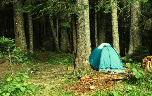 Read more about the article Best Wild Camping Tips for Beginners