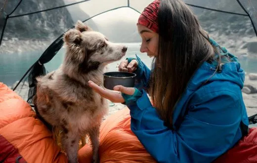 Camping inside with dogs